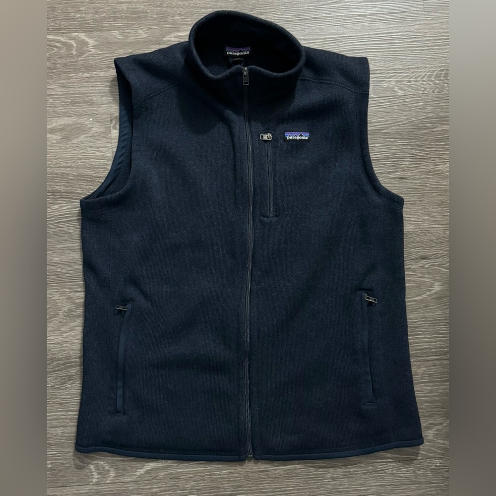 Patagonia Blue Fleece Vest